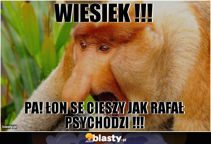 WIESIEK !!!