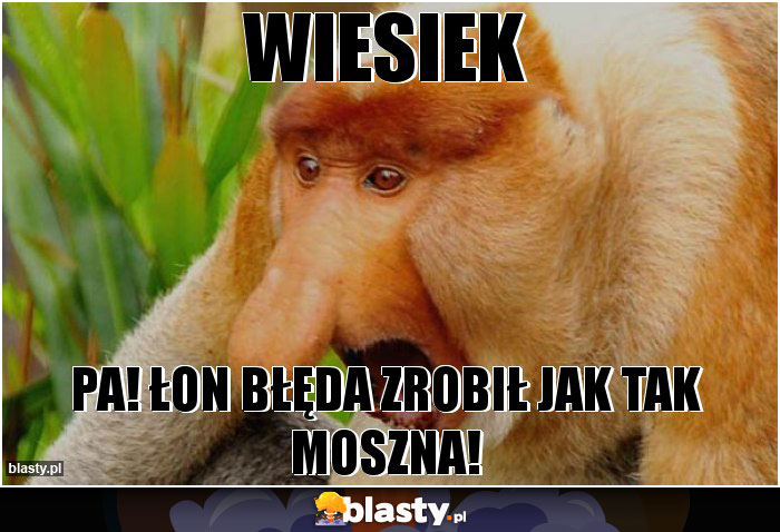 WIESIEK