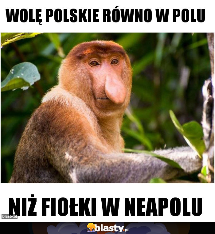 Wolę Polskie równo w polu