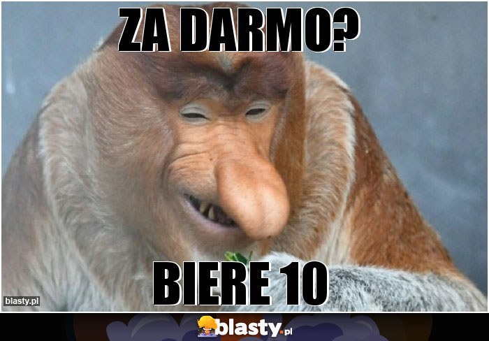 za darmo?