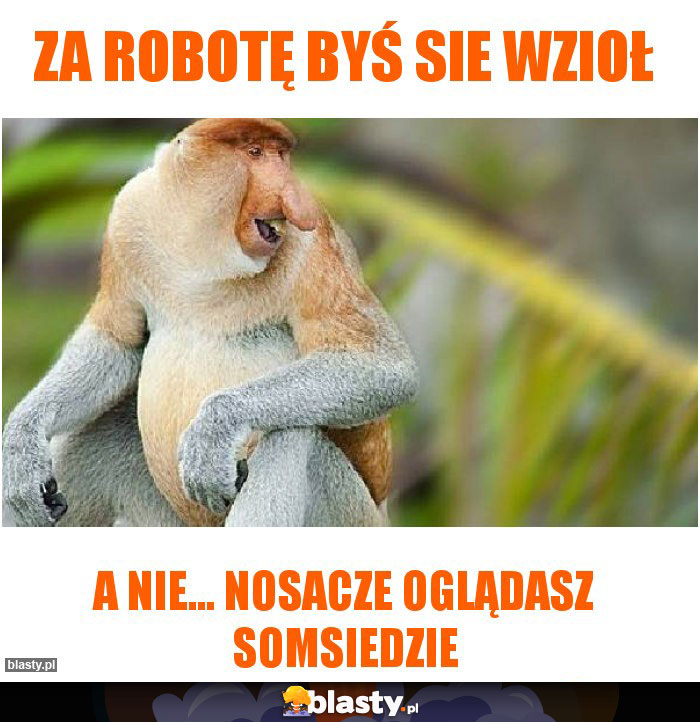 Za robotę byś sie wzioł