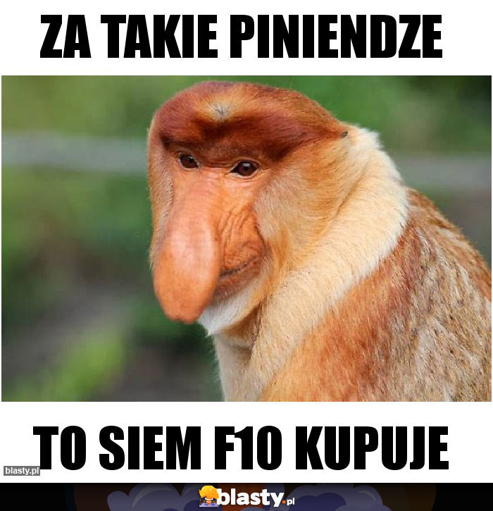 Za takie piniendze