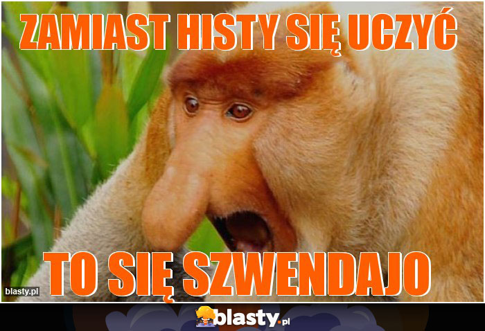 Zamiast histy się uczyć