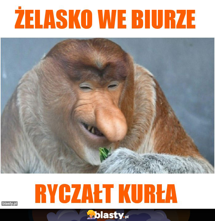 Żelasko we biurze