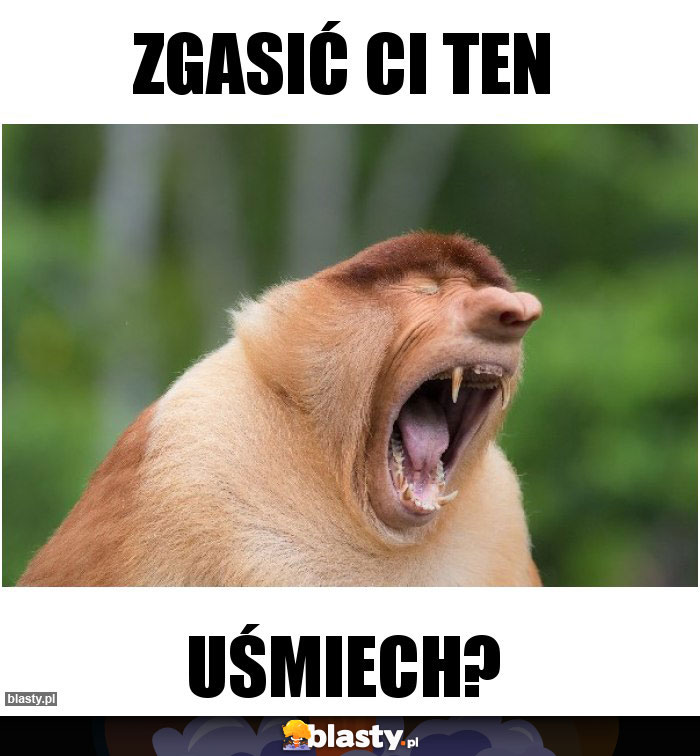 Zgasić ci ten