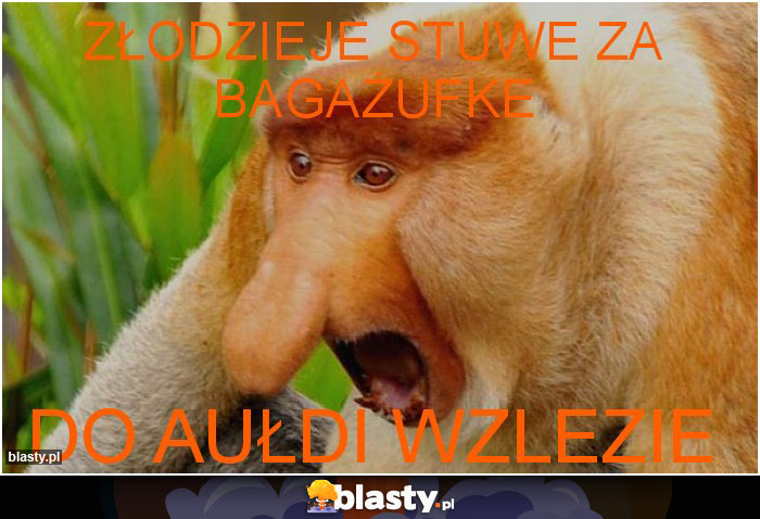 złodzieje stuwe za bagażufke