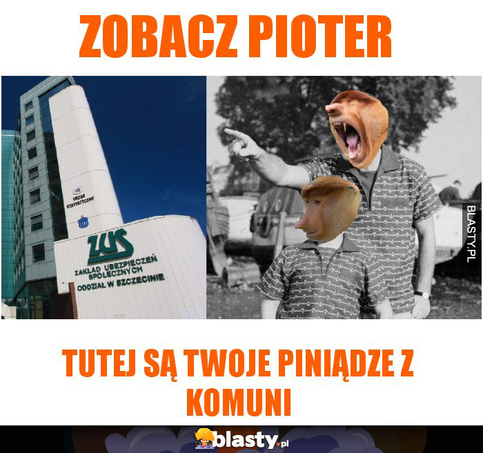 ZOBACZ PIOTER