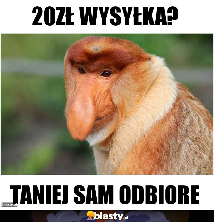 20zł wysyłka?