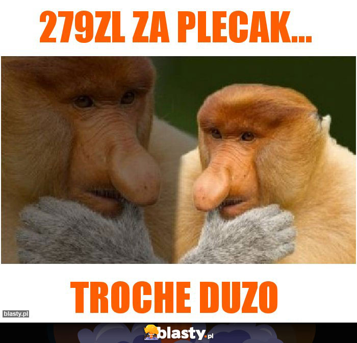 279zl za plecak...