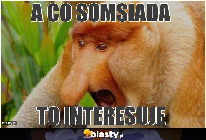 a co somsiada