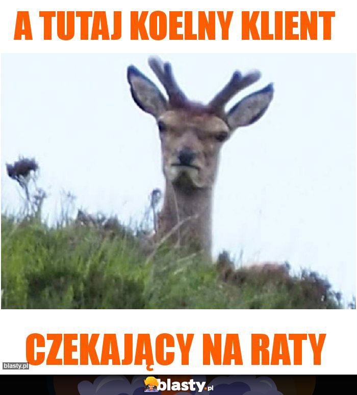 a tutaj koelny klient