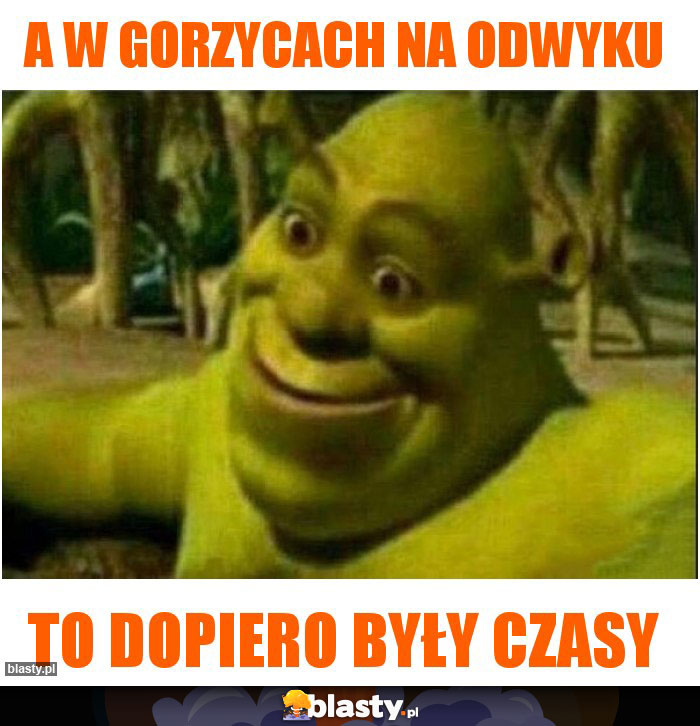 A w gorzycach na odwyku