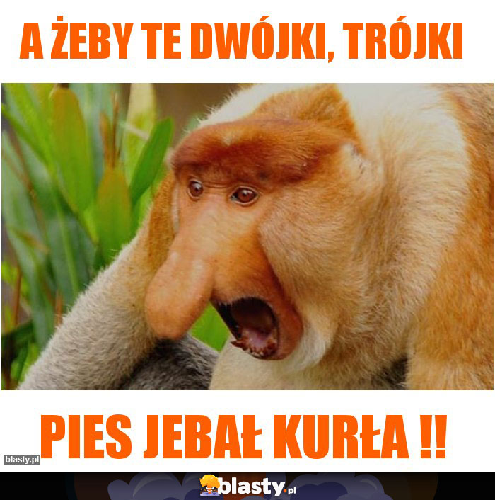 A żeby te dwójki, trójki