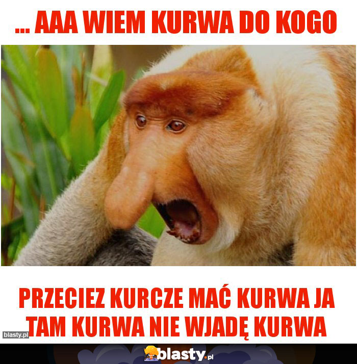 ... aaa wiem kurwa do kogo