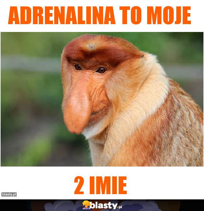 adrenalina to moje