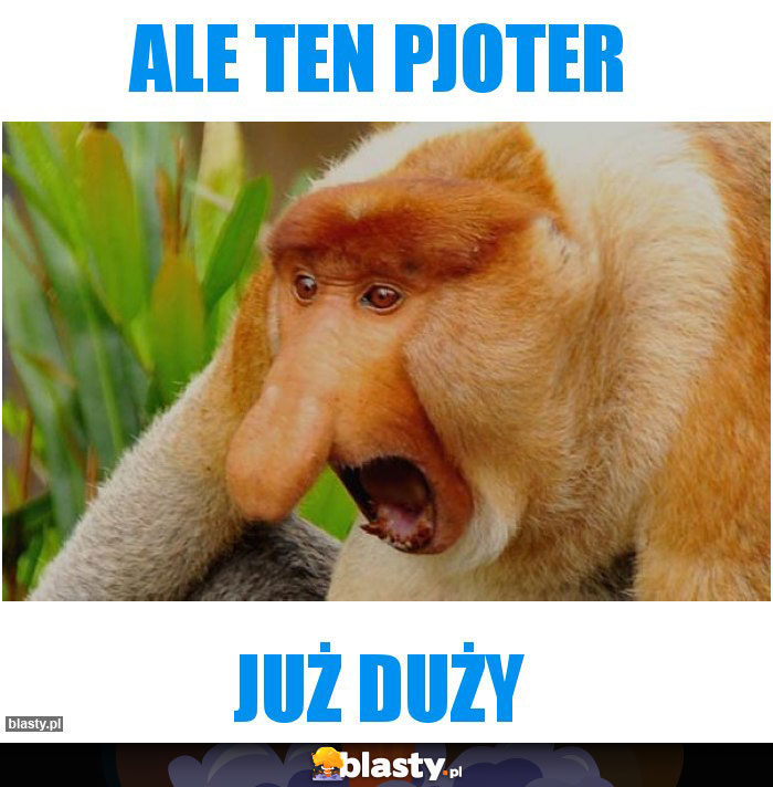 Ale ten Pjoter