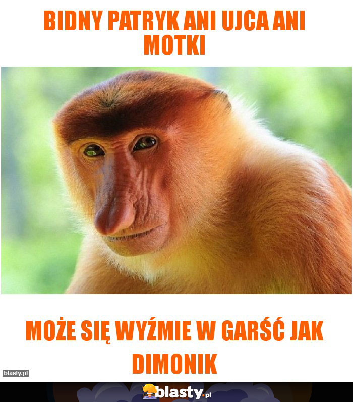 bidny patryk ani ujca ani motki