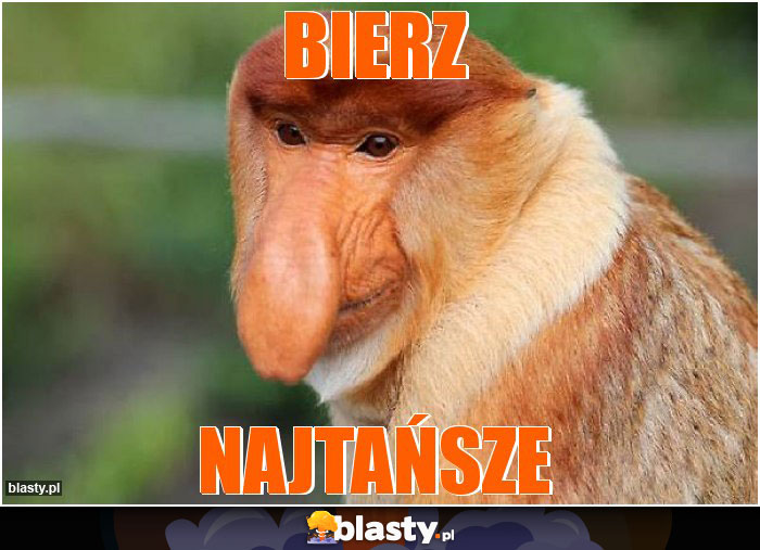 Bierz