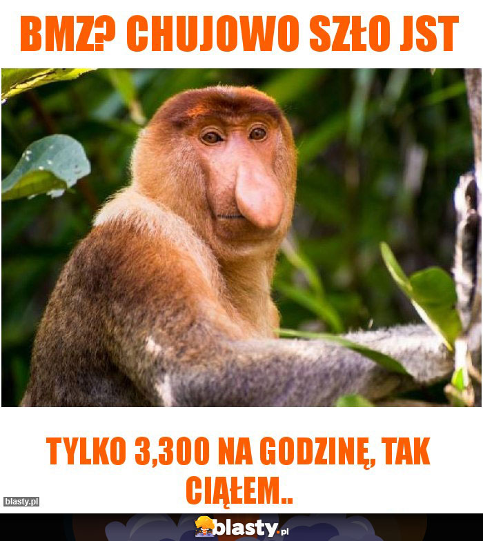 BMZ? CHUJOWO SZŁO JST