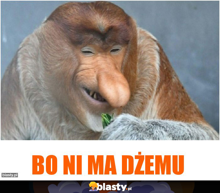 Bo ni ma dżemu