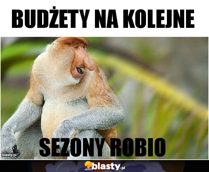 Budżety na kolejne