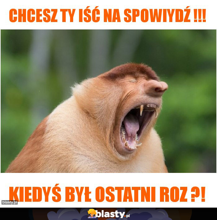 Chcesz ty iść na spowiydź !!!