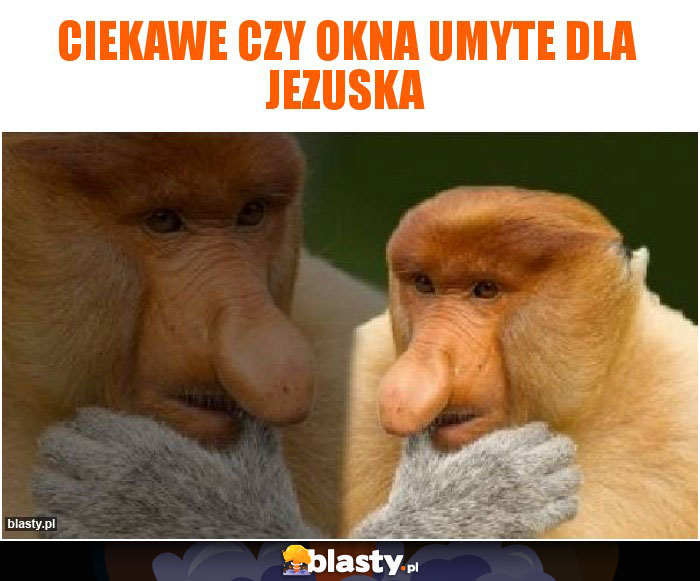 Ciekawe czy okna umyte dla Jezuska