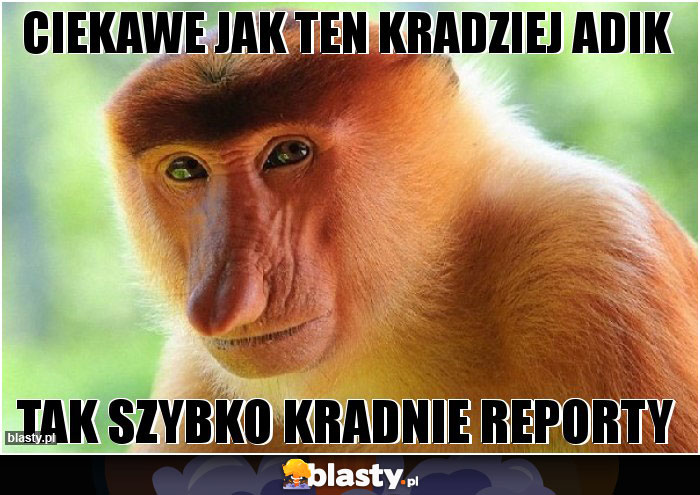 Ciekawe jak ten kradziej Adik