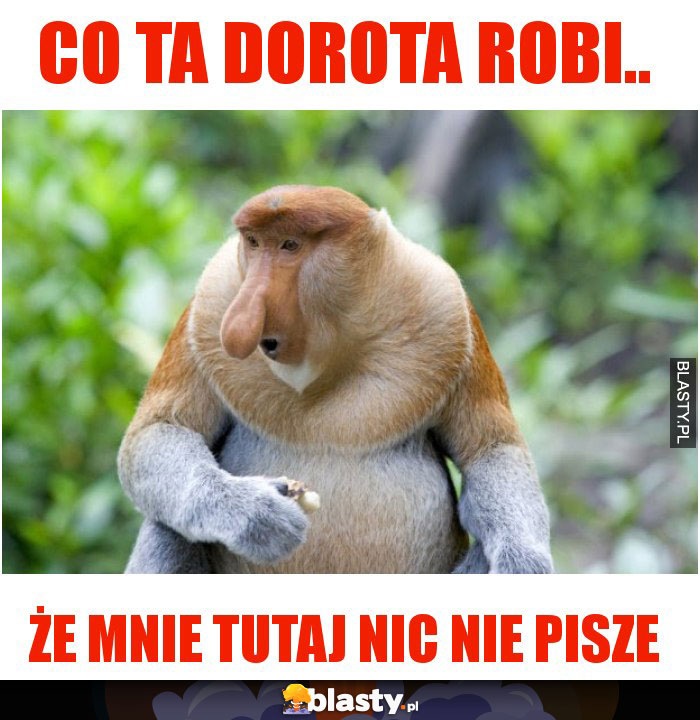 Co ta Dorota robi..