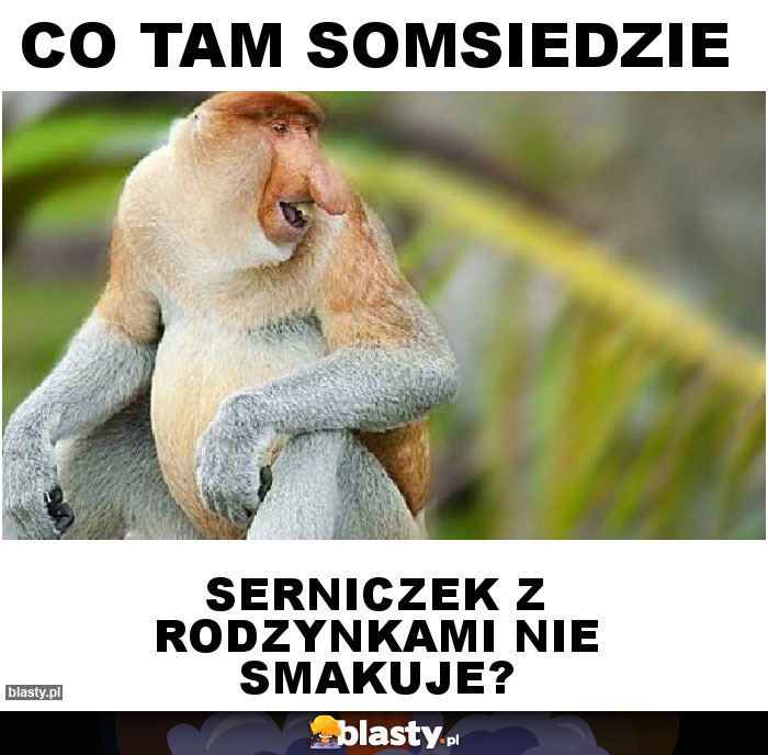 Co tam Somsiedzie