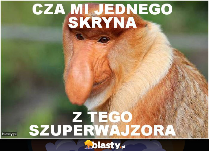 Cza mi jednego Skryna