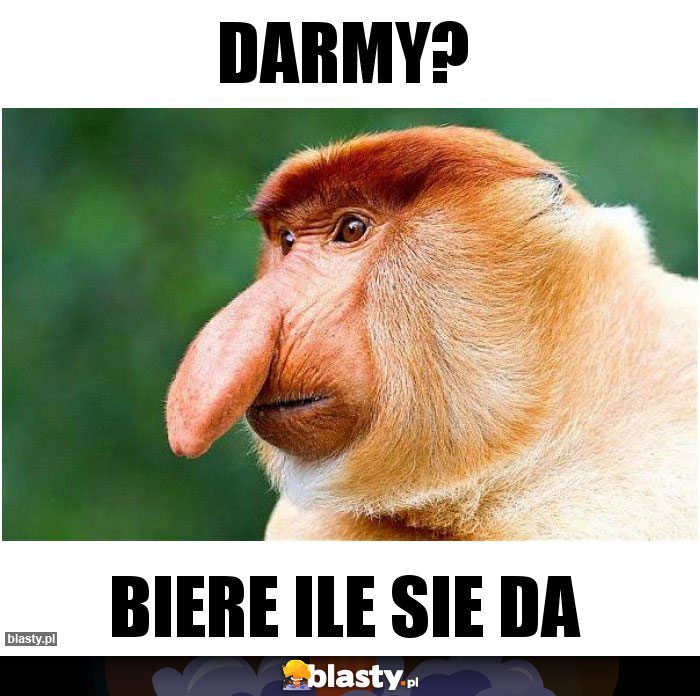 Darmy?