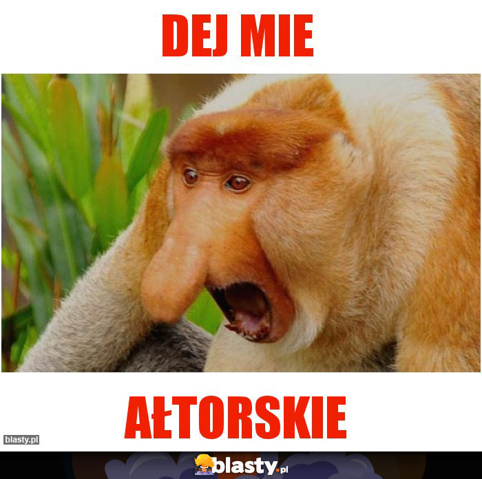 Dej mie