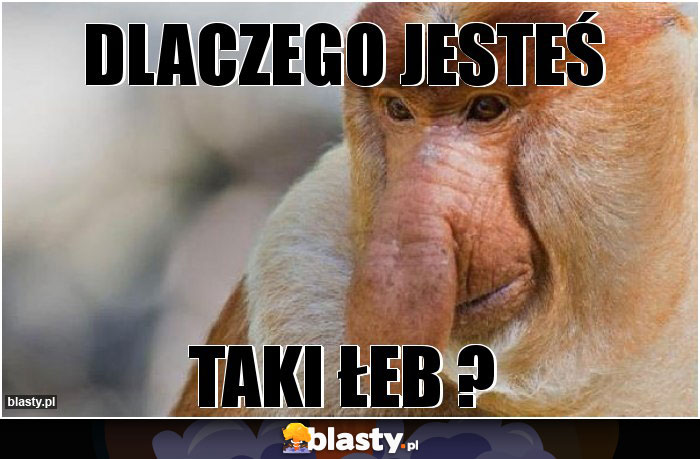 dlaczego jesteś