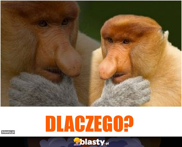 Dlaczego?