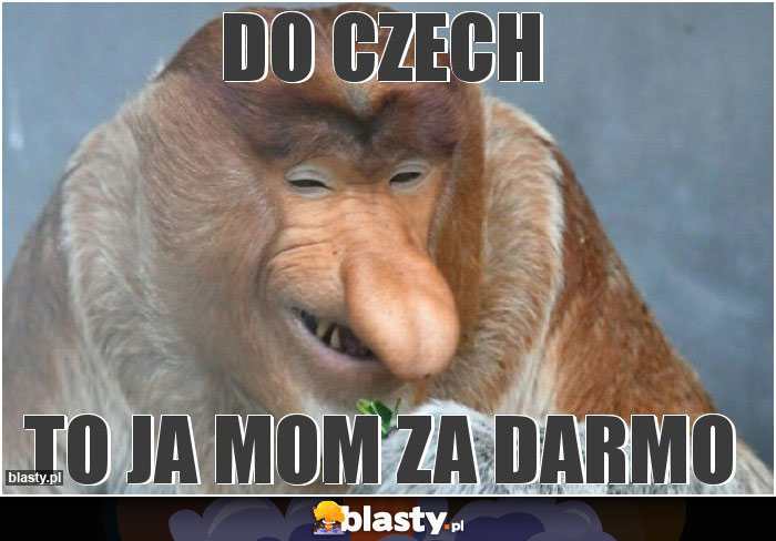 DO CZECH