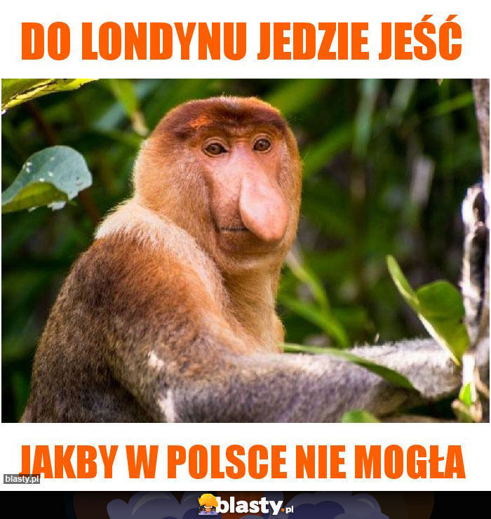 DO LONDYNU JEDZIE JEŚĆ