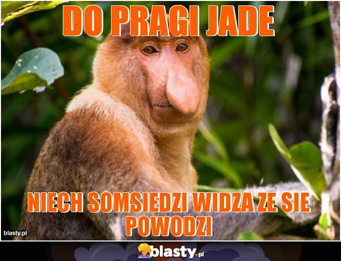 do pragi jade