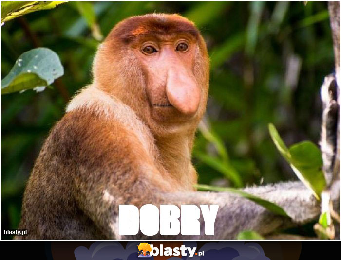 Dobry