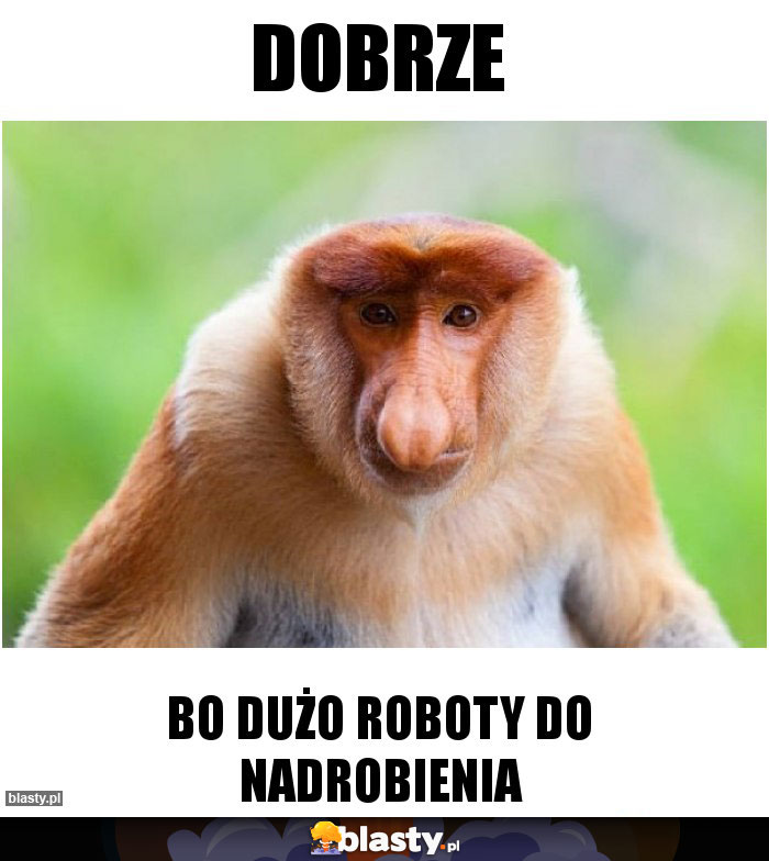 dobrze