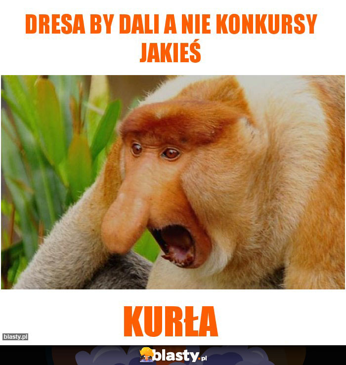 Dresa by dali a nie konkursy jakieś