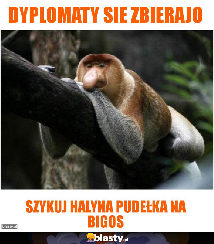 Dyplomaty sie zbierajo