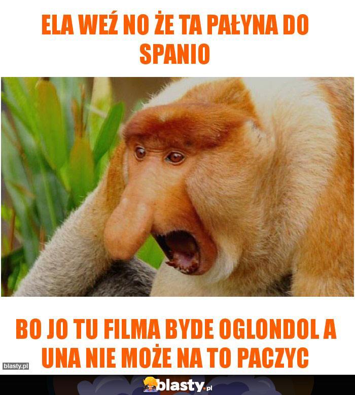 Ela weź no że ta Pałyna do spanio