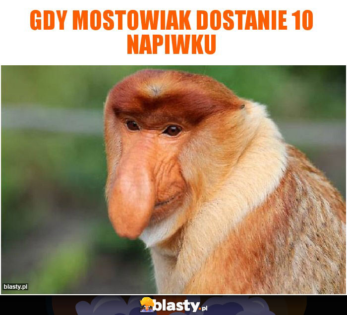 Gdy mostowiak dostanie 10 napiwku