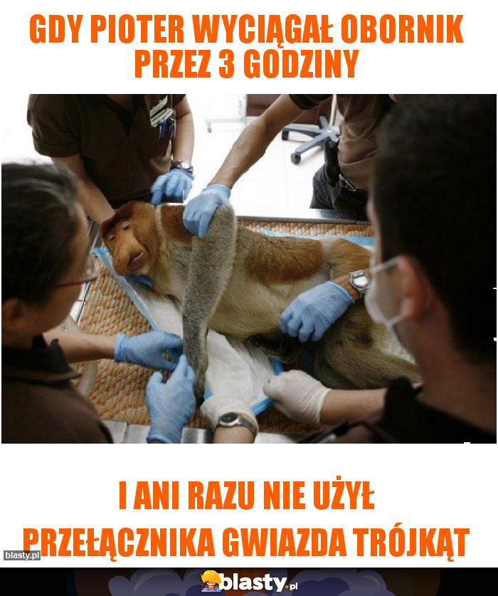 Gdy pioter wyciągał obornik przez 3 godziny