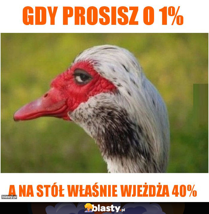 Gdy prosisz o 1%