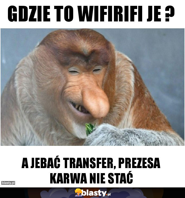 Gdzie to wifirifi je ?