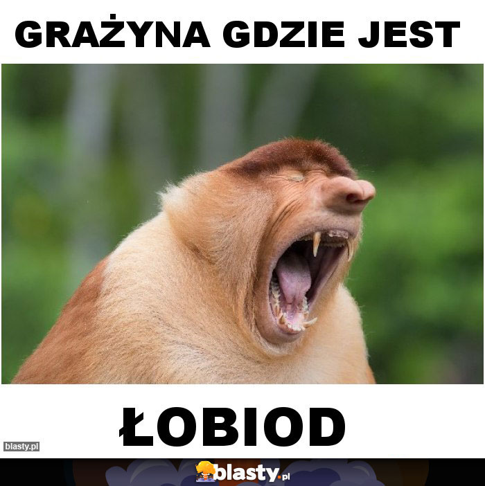 Grażyna Gdzie Jest Memy, Gify I śmieszne Obrazki Facebook, Tapety ...