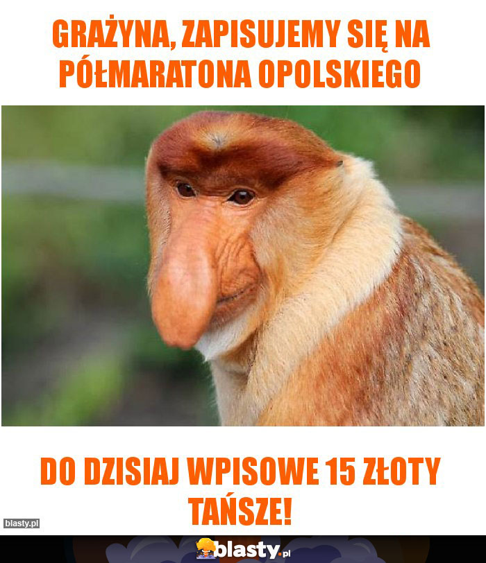 GRAŻYNA, zapisujemy się na Półmaratona opolskiego