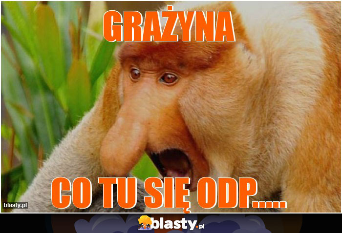 grażyna